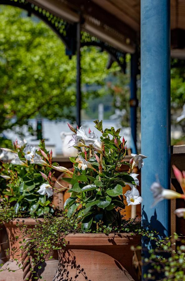 Hotel Ertl & Restaurant El Venado 스피탈안더드라우 외부 사진